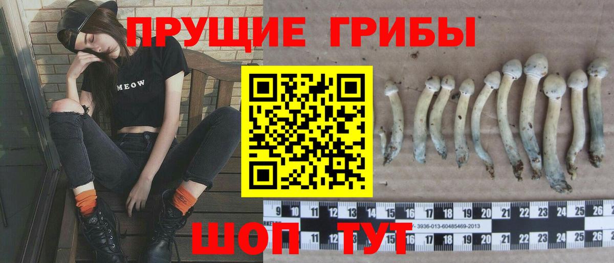 Галлюциногенные грибы Cubensis  Вход с VPN  Псилоцибиновые грибы мухоморы  Знаменск 
